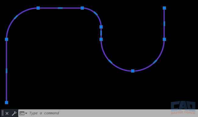 AutoCAD polyline object with both straight and curved segments selected as one unit.